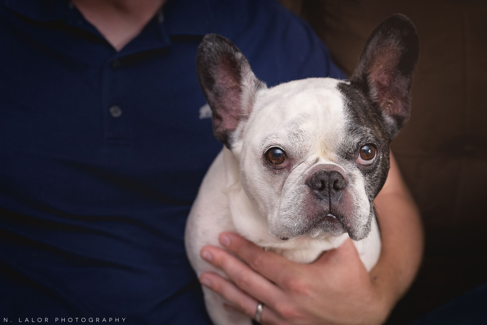 Styled family-life photo session in Fairfield Connecticut by N. Lalor Photography.