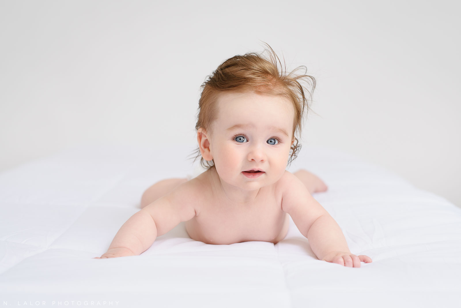 Simple 6-month old baby girl portrait. Family photo session by N. Lalor Photography. Studio located in Greenwich Connecticut.