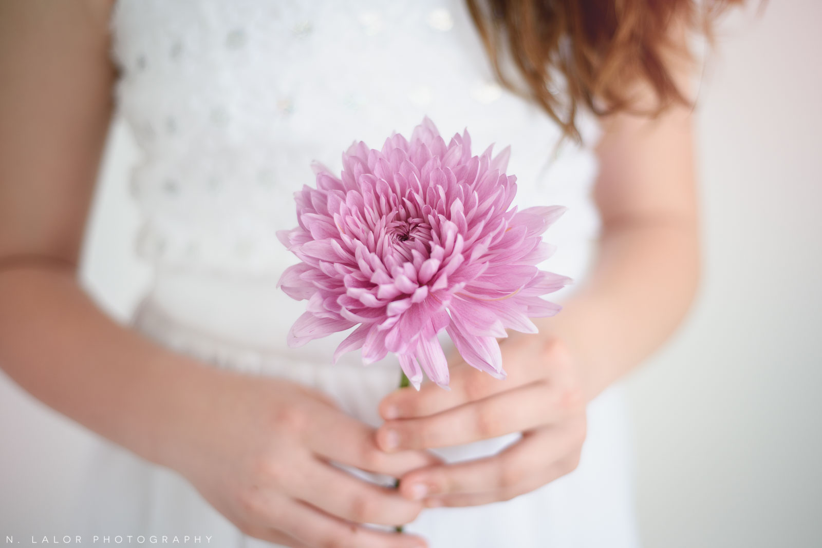 Violet. Spring flower styled photoshoot by N. Lalor Photography. Greenwich, CT.