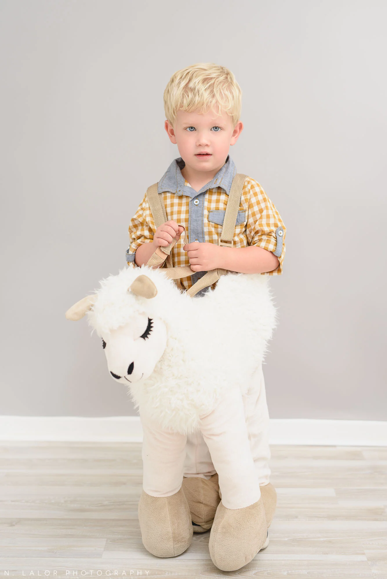 Little llama. Halloween Kids Portrait by N. Lalor Photography. Greenwich, Connecticut.