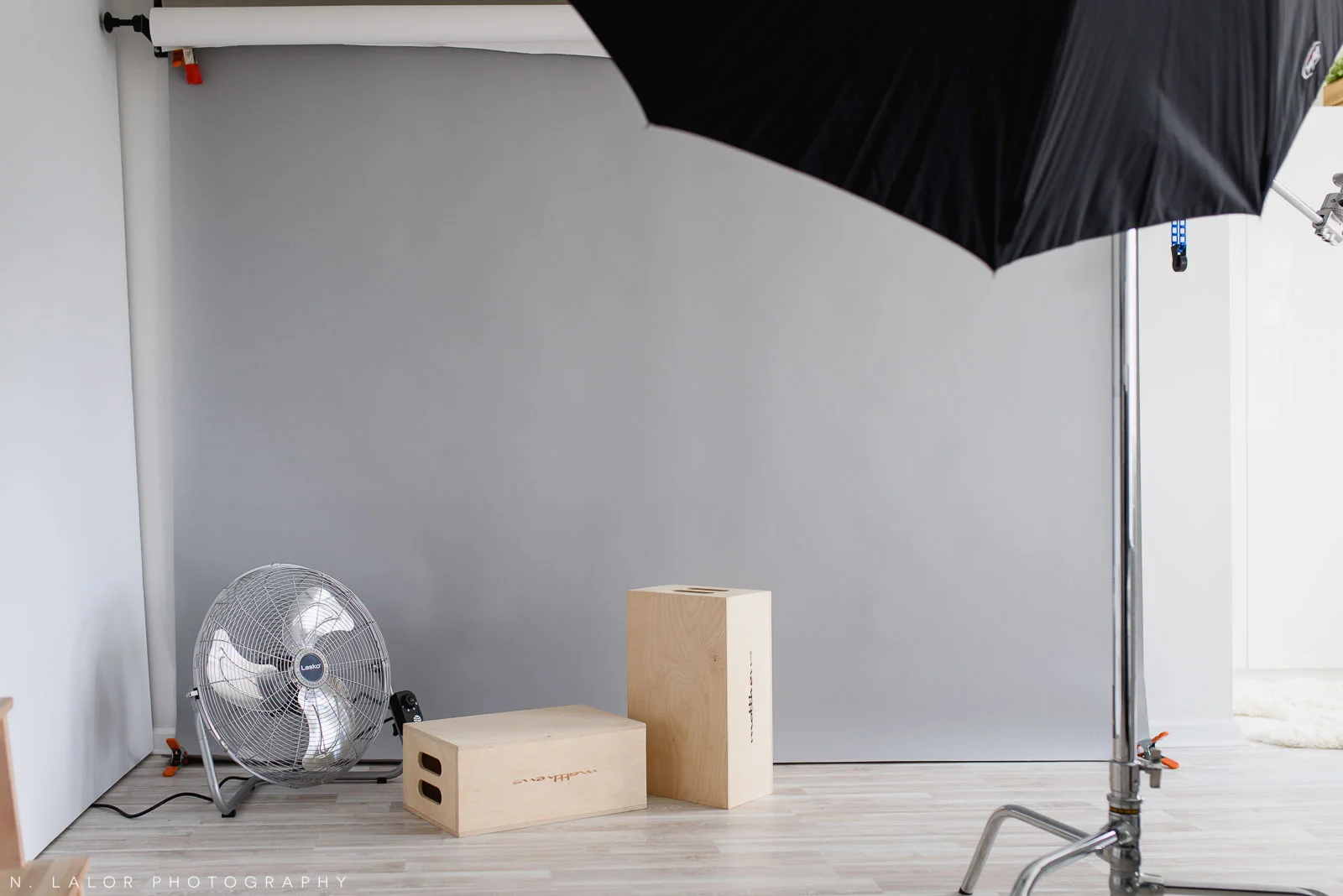 N. Lalor Photography Studio - shooting space, showing backdrop, posing boxes, fan, and light stand.