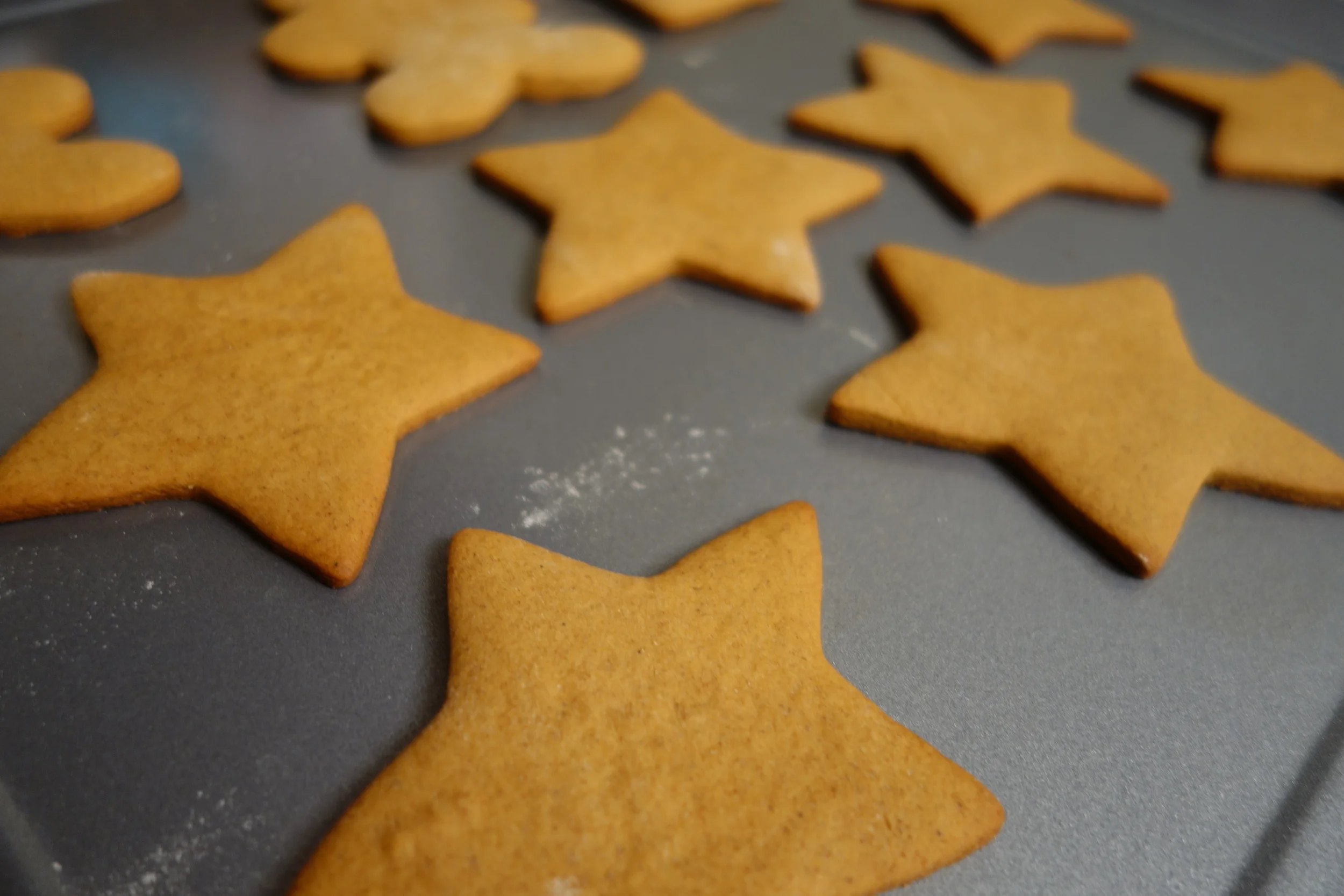 Ginger Bread Cookies