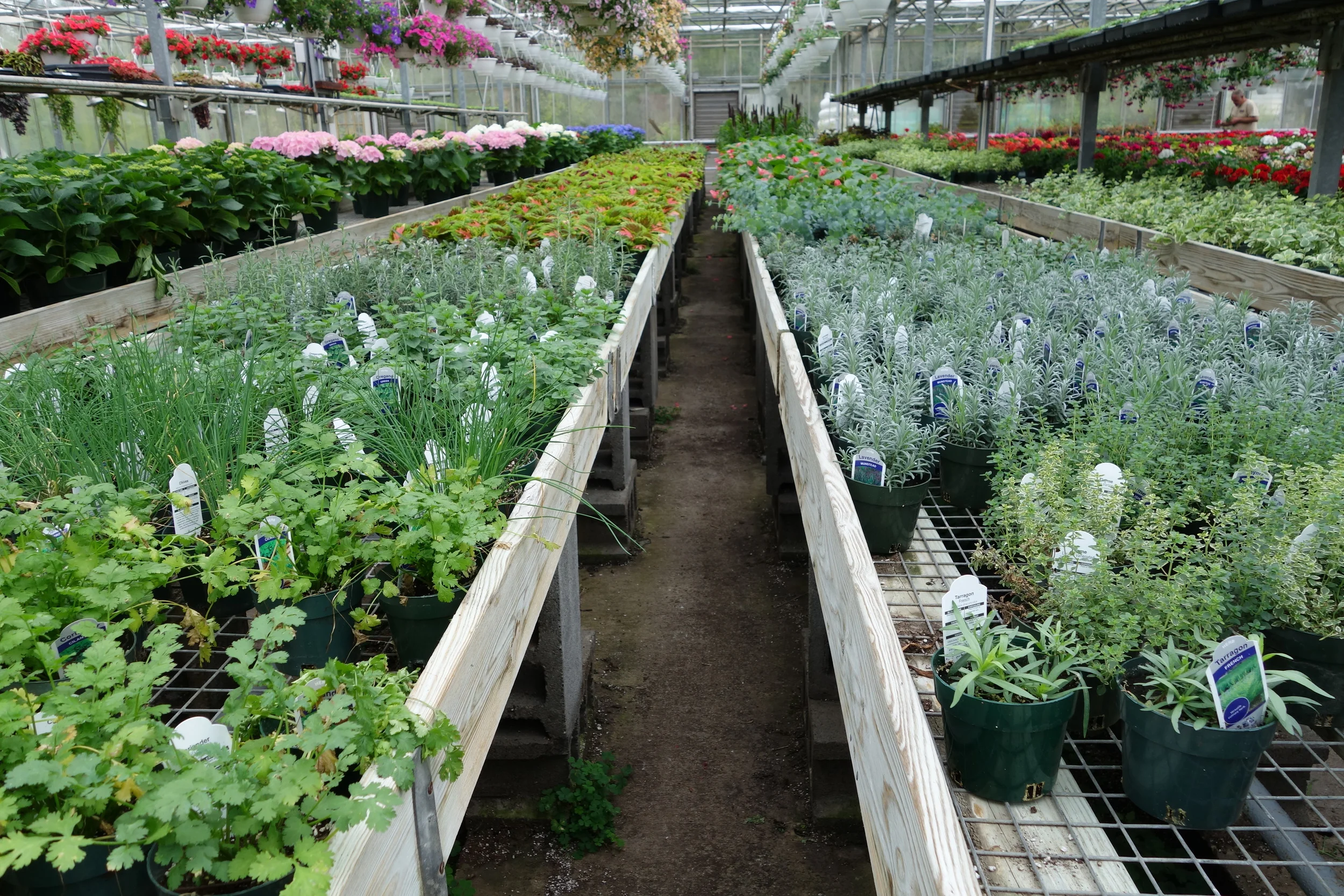 Spring Gardening