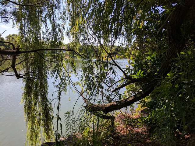 A serene place to pause before sitting down to brunch!
