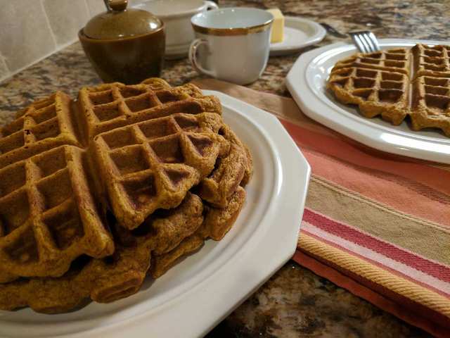 WaffleUpclose.jpeg