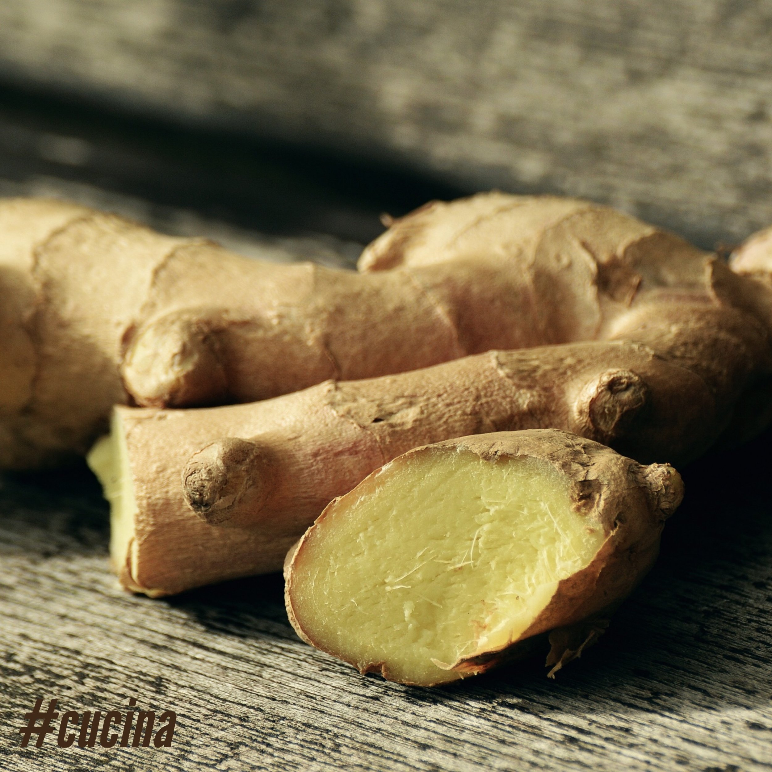 Ginger.jpeg