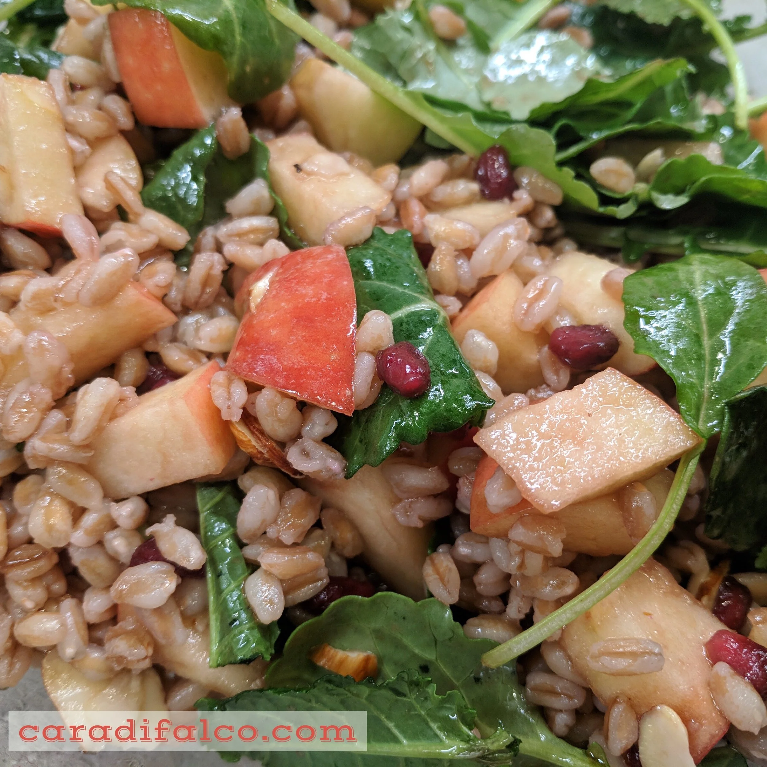Italian Grain Bowl
