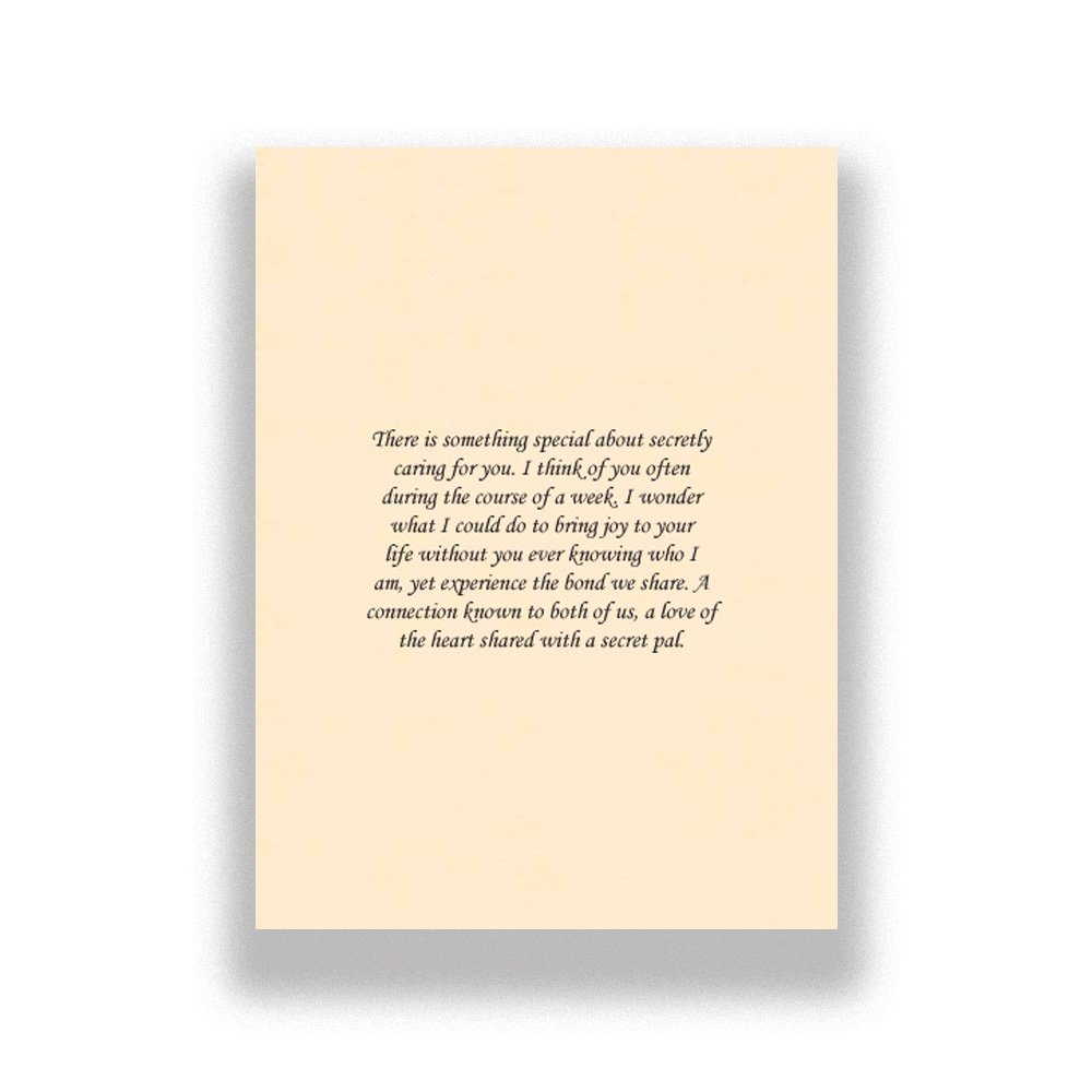 • Secret Pal greeting card inside page featuring heartfelt verse about a special secret friendship
