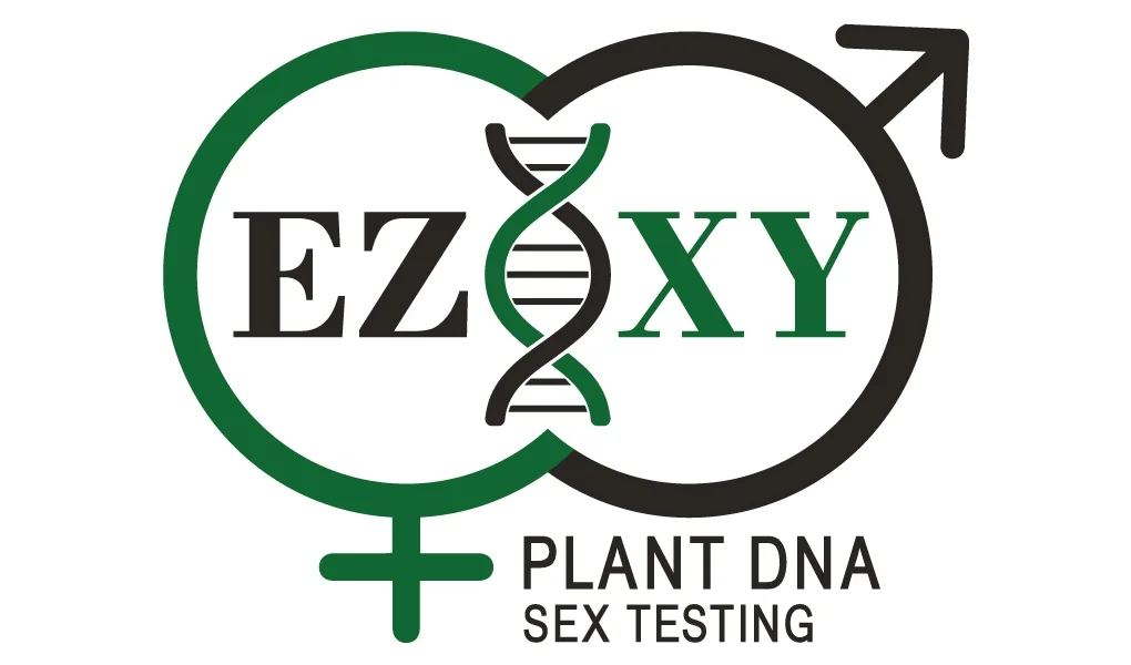 EZ-XY_Final.jpg