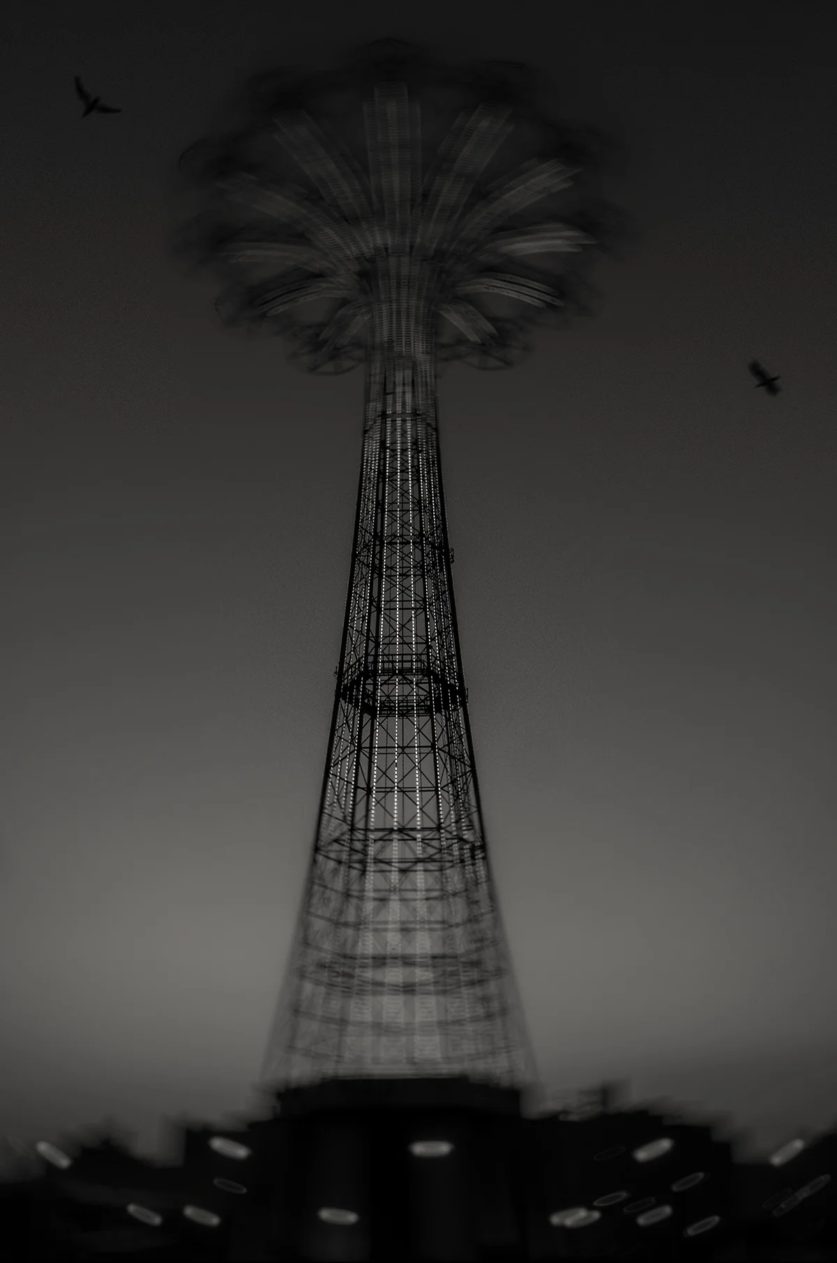 coney.jpg