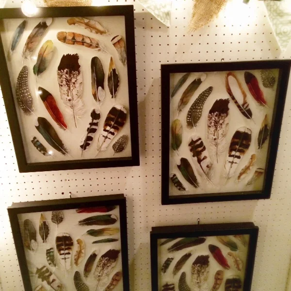 Feather_Shadow_Boxes.JPG