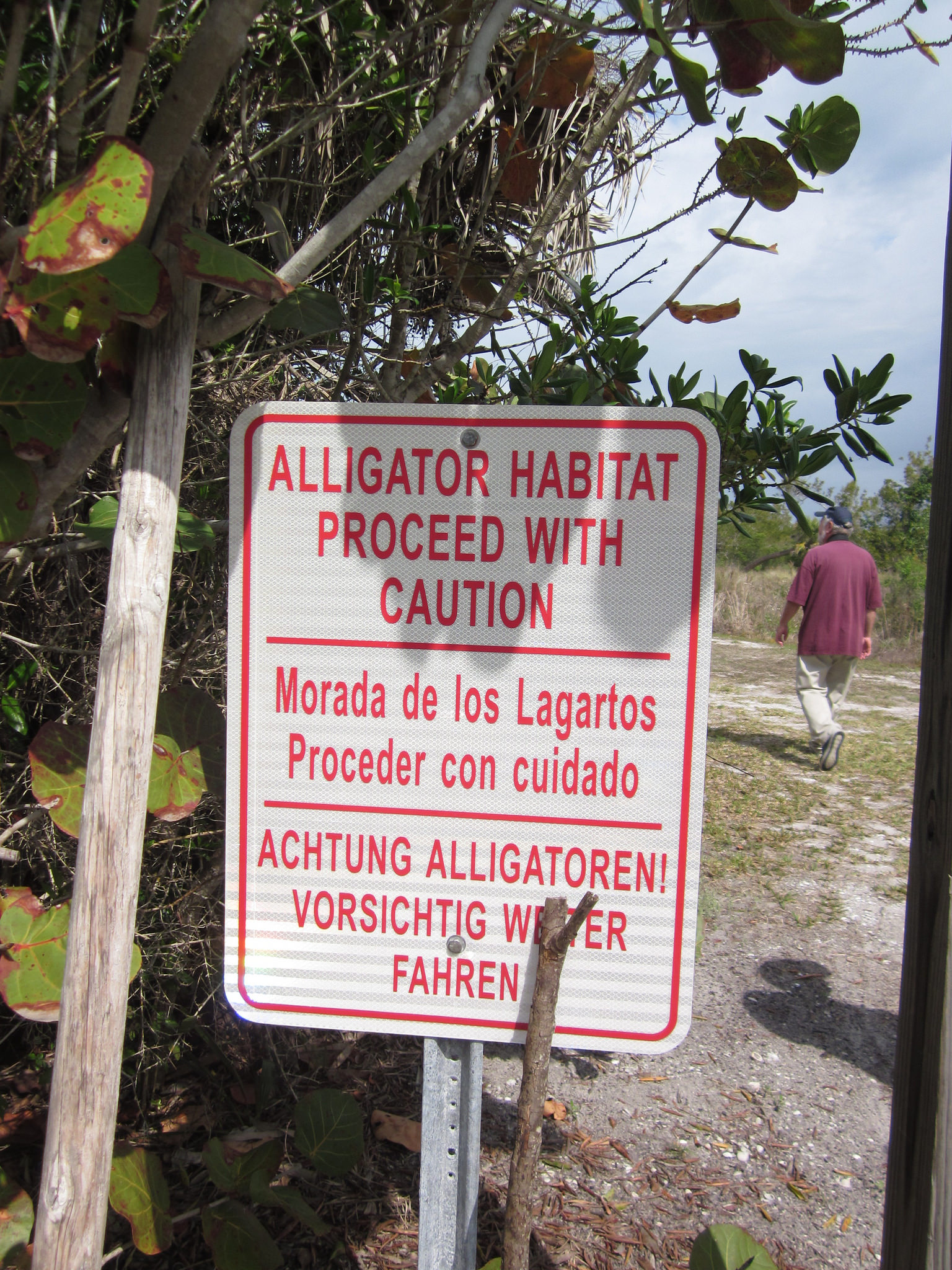 Alligator Habitat.jpg