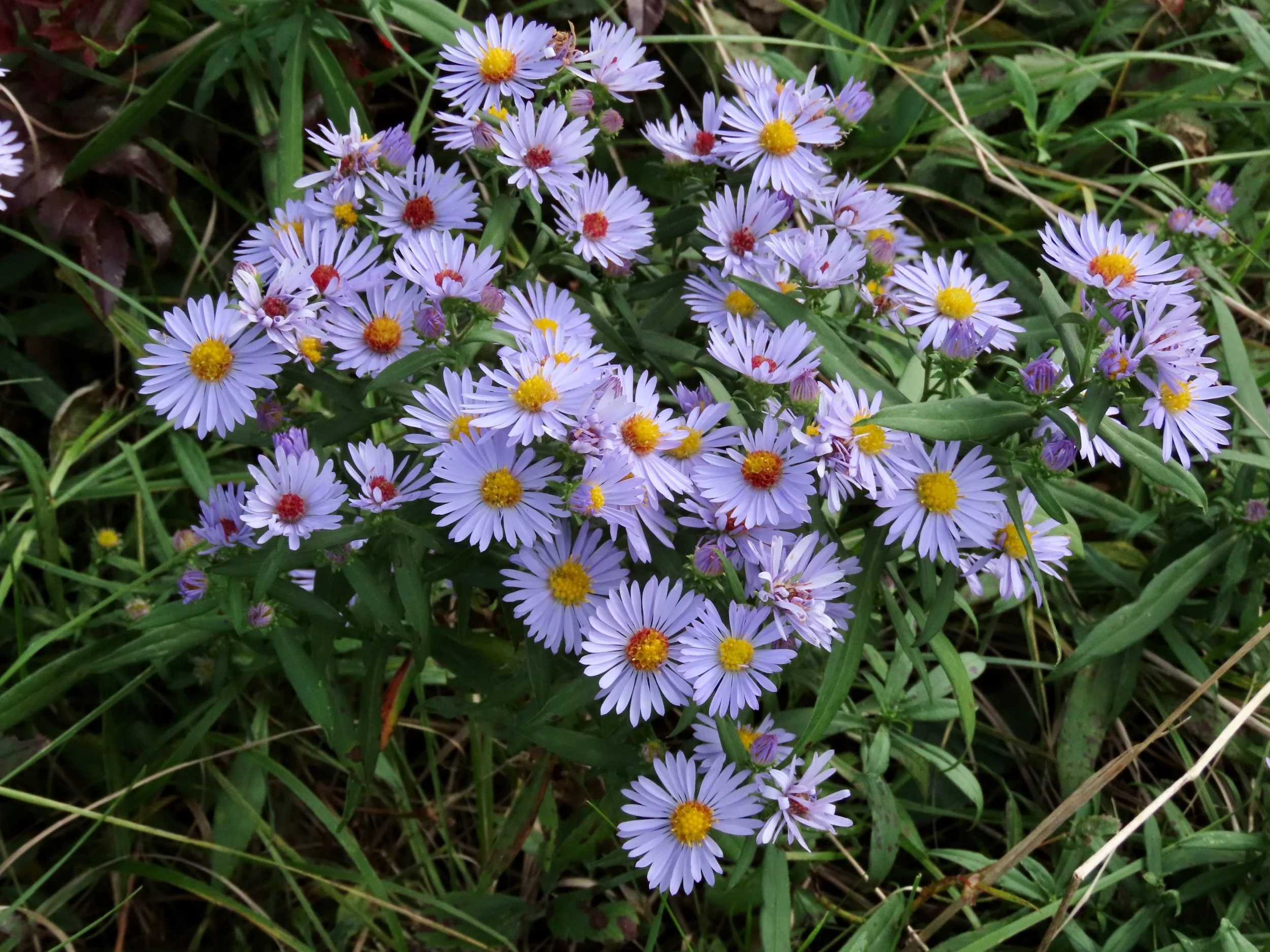 25 September 2023 (what we talk about)