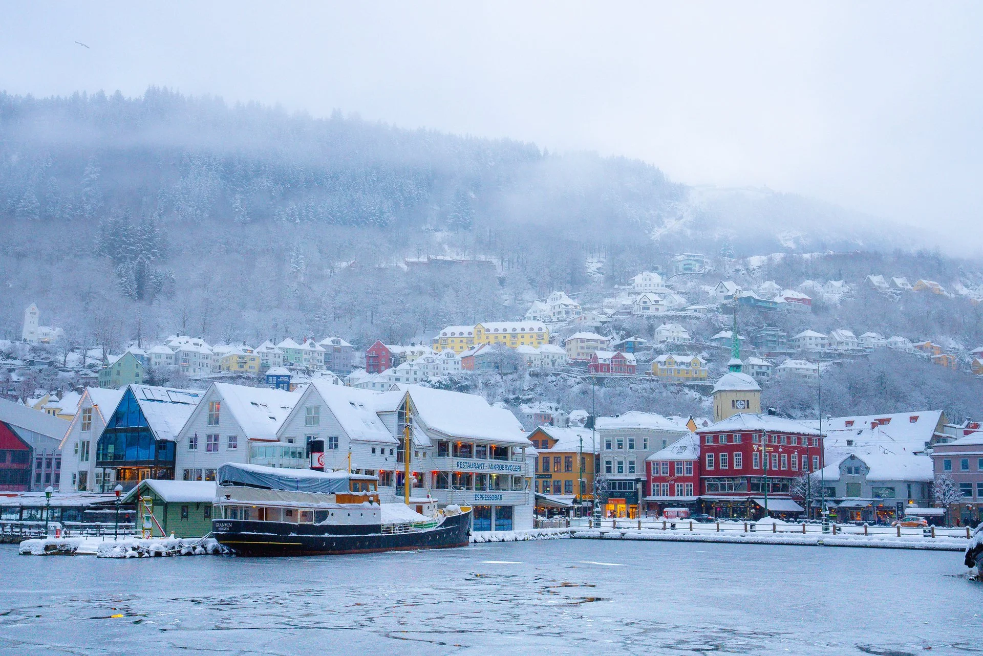 Bergen snødag 5.1.25 (23 av 28).jpg