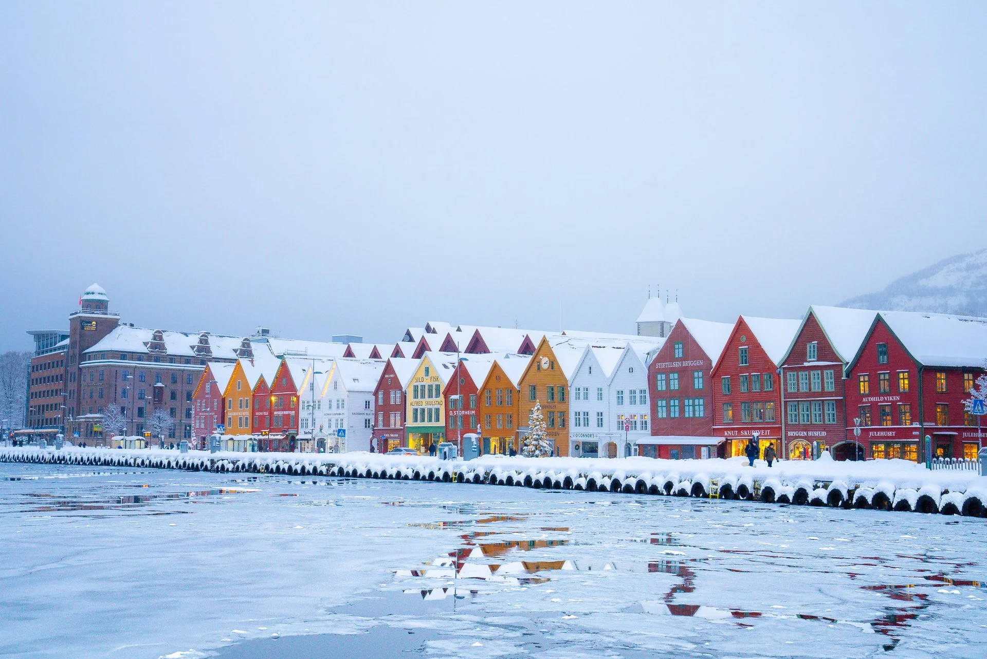 Bergen snødag 5.1.25 (26 av 28).jpg