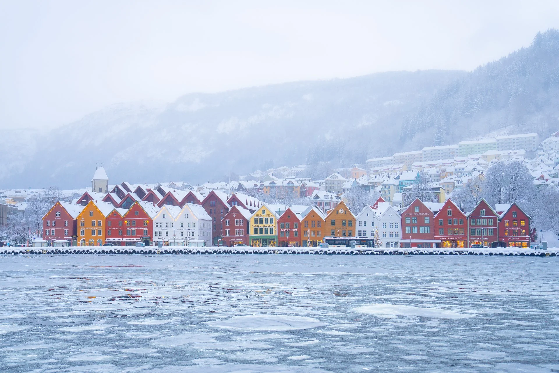 Bergen snødag 5.1.25 (19 av 28).jpg