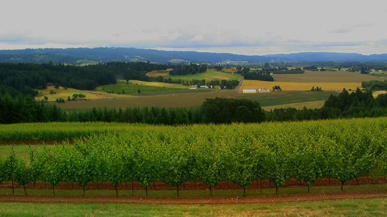 Penner Ash Front view to Valley.jpg