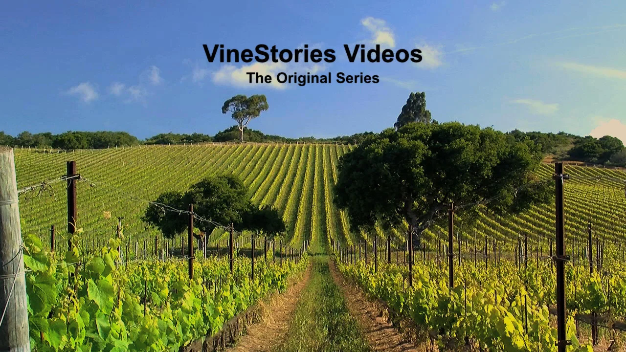 VineStories Video Banner Crop.jpg