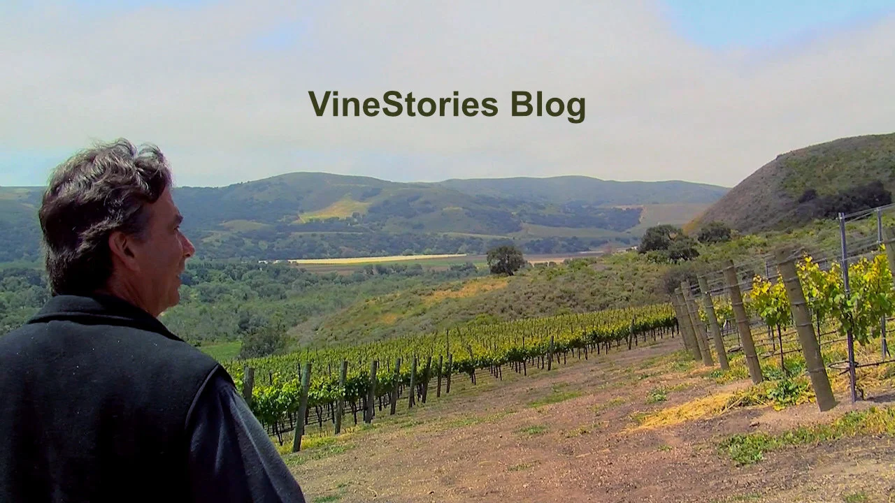 Longoria Walking Vineyard - Blog Banner.jpg