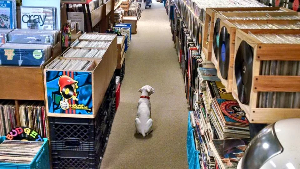 Trax on Wax Maryland Record Store LPs, Turntables, Buy Used Vinyl