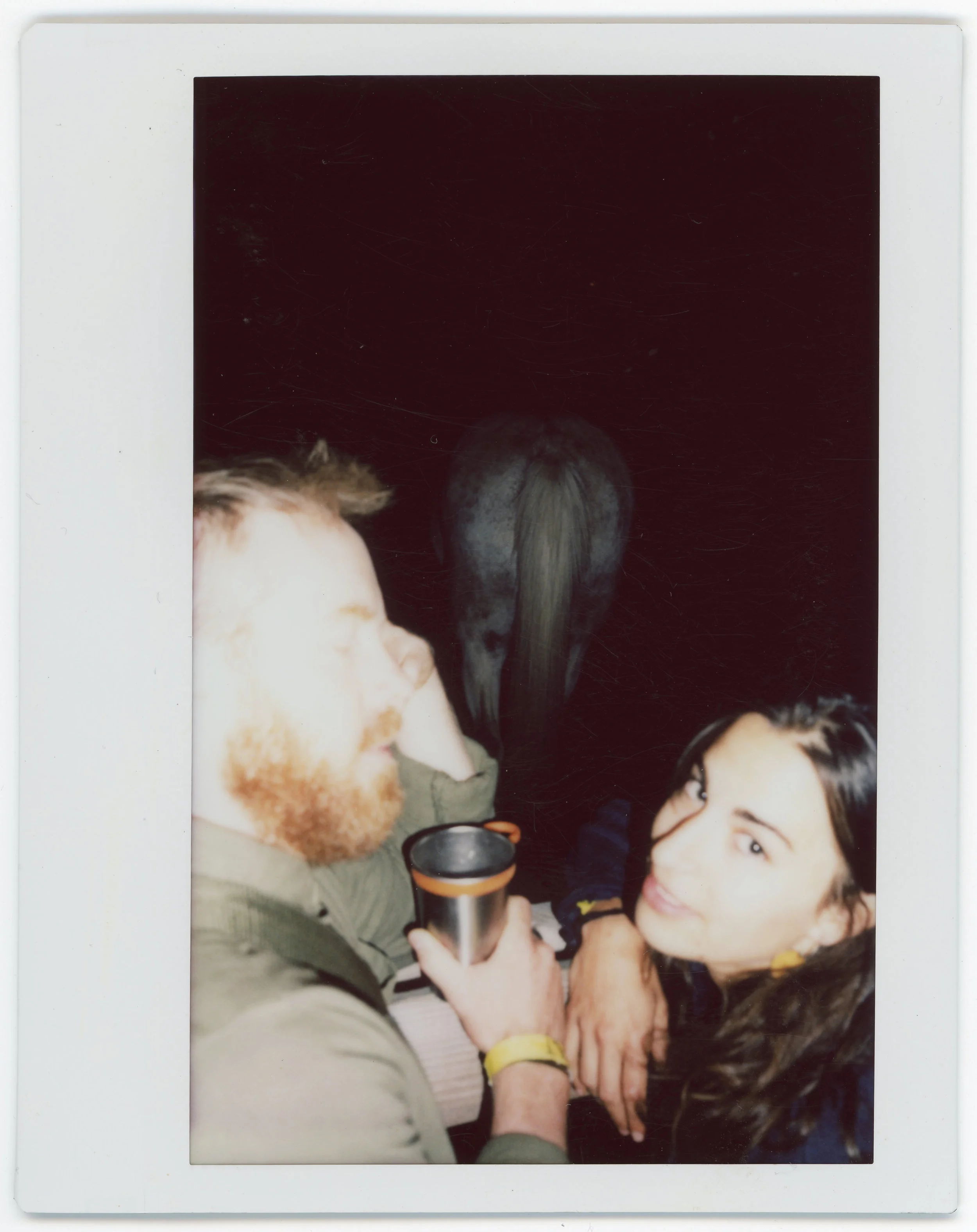 Pickathon Instax034.jpg