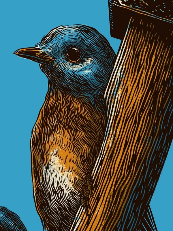 Detail of poster
