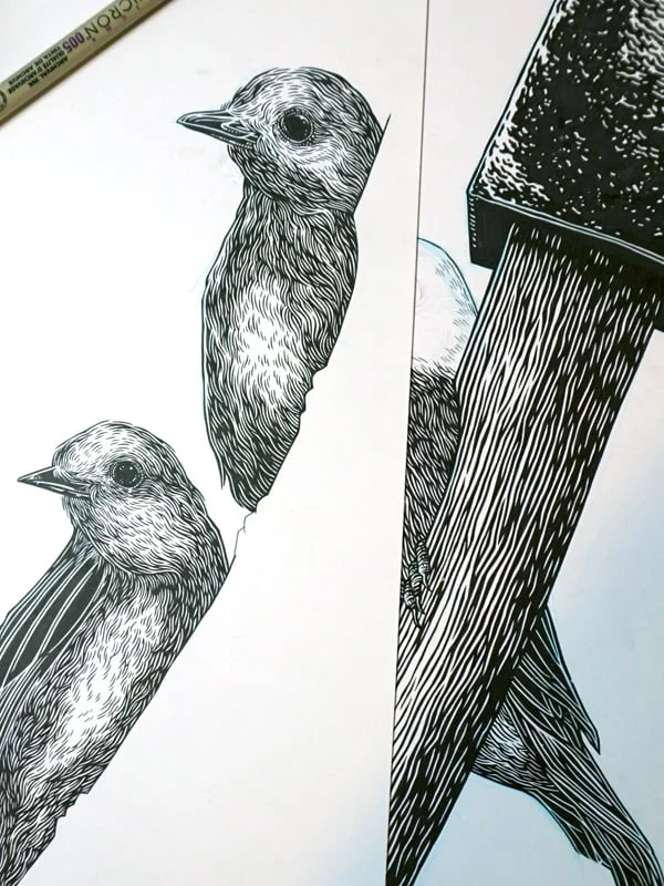 Original drawings for the poster