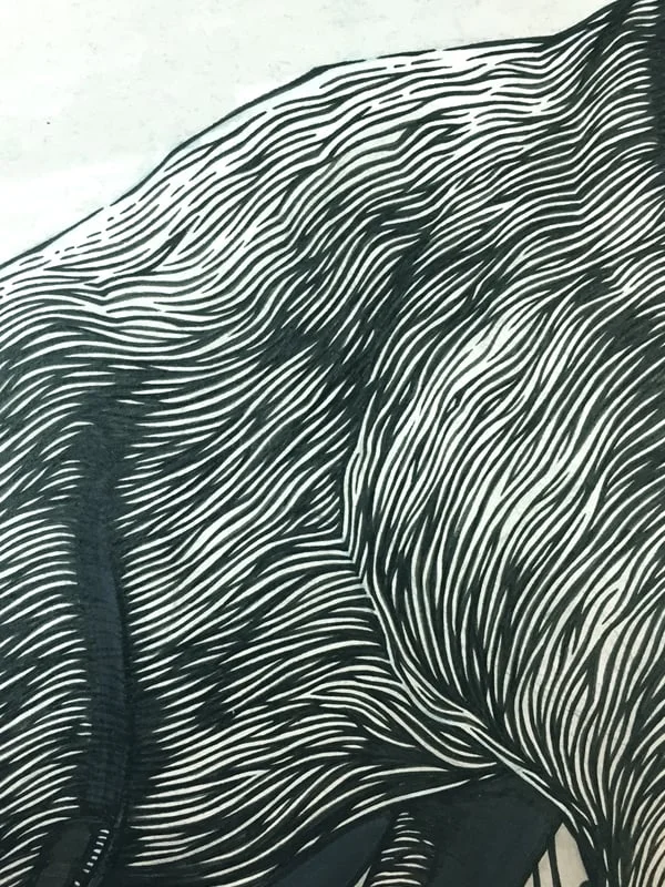 Detail of drawing