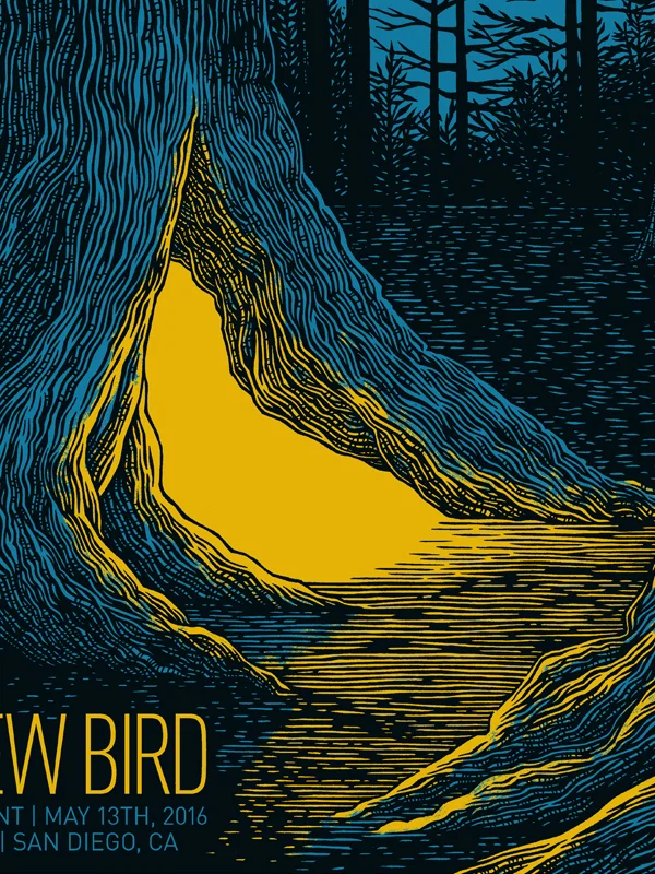 ANDREW_BIRD_DETAIL.jpg