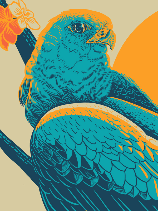 PEREGRINE_SUNRISE_DETAIL.jpg