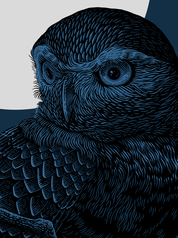 BURROWING_OWL_MIDNIGHT_DETAIL.jpg