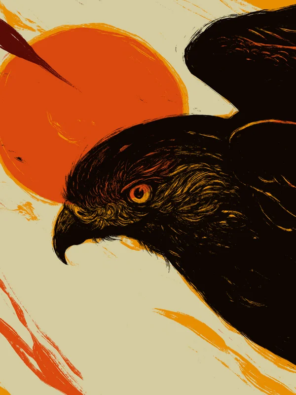 REDTAILEDHAWK_DETAIL.jpg