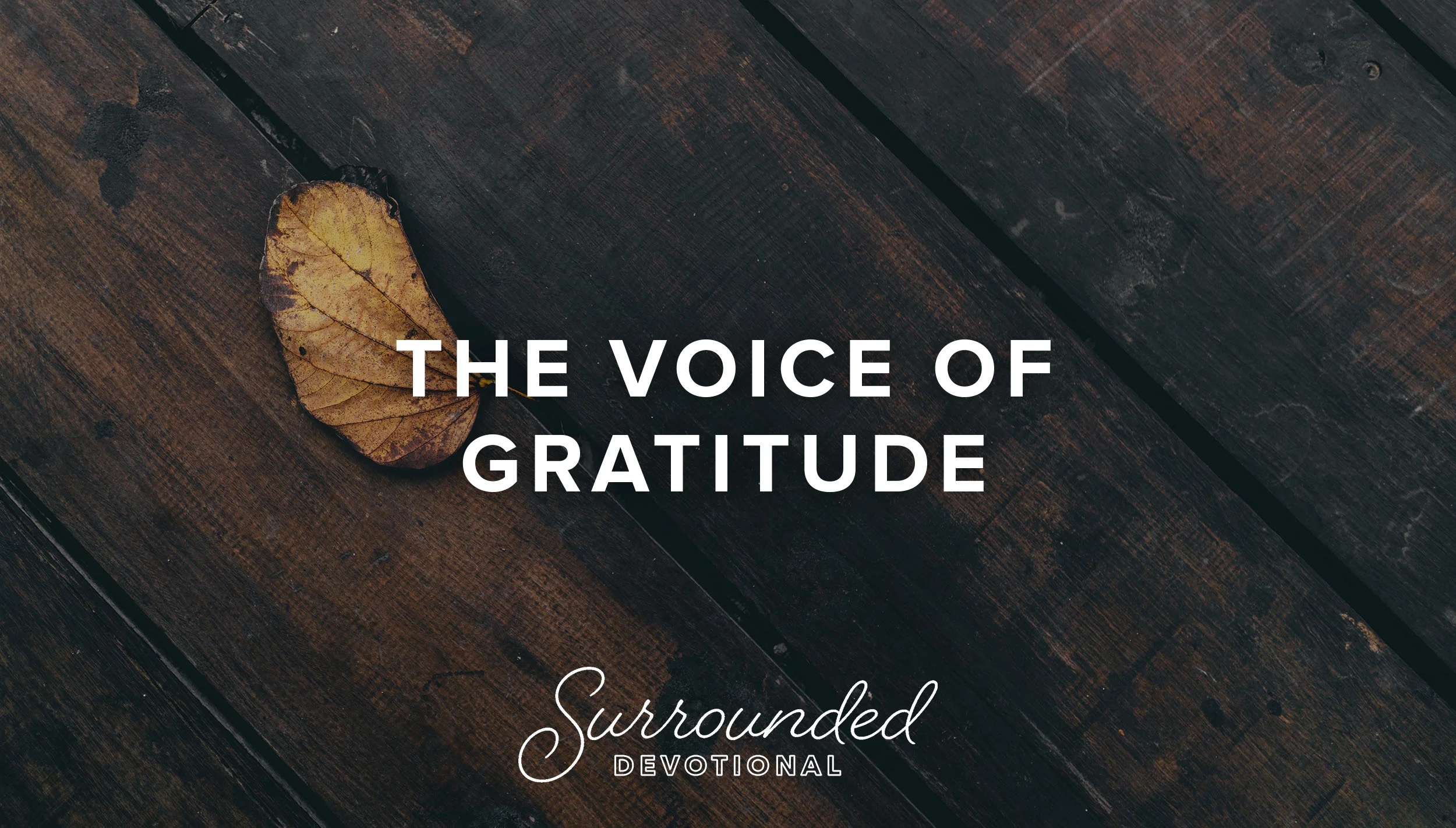 The Voice of Gratitude