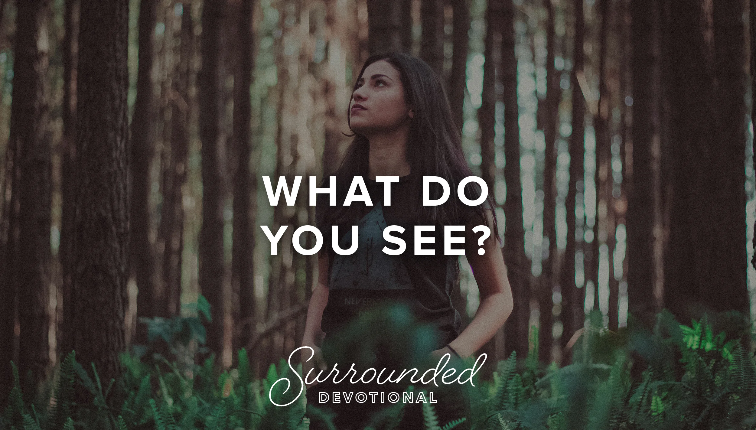What do you see?
