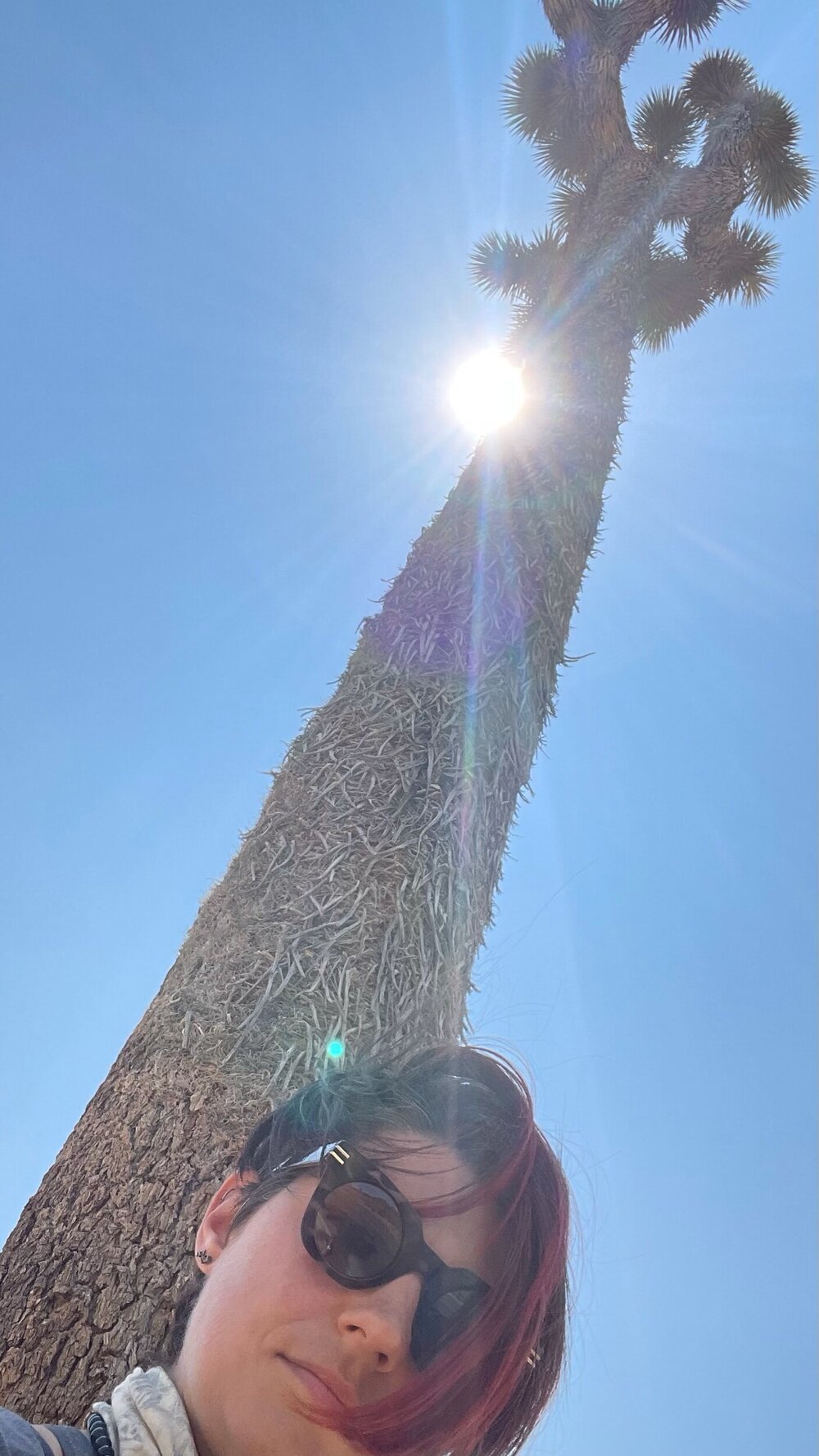  Tallest Joshua Tree. Est. 300 yrs. old. Thanks, Jerry 