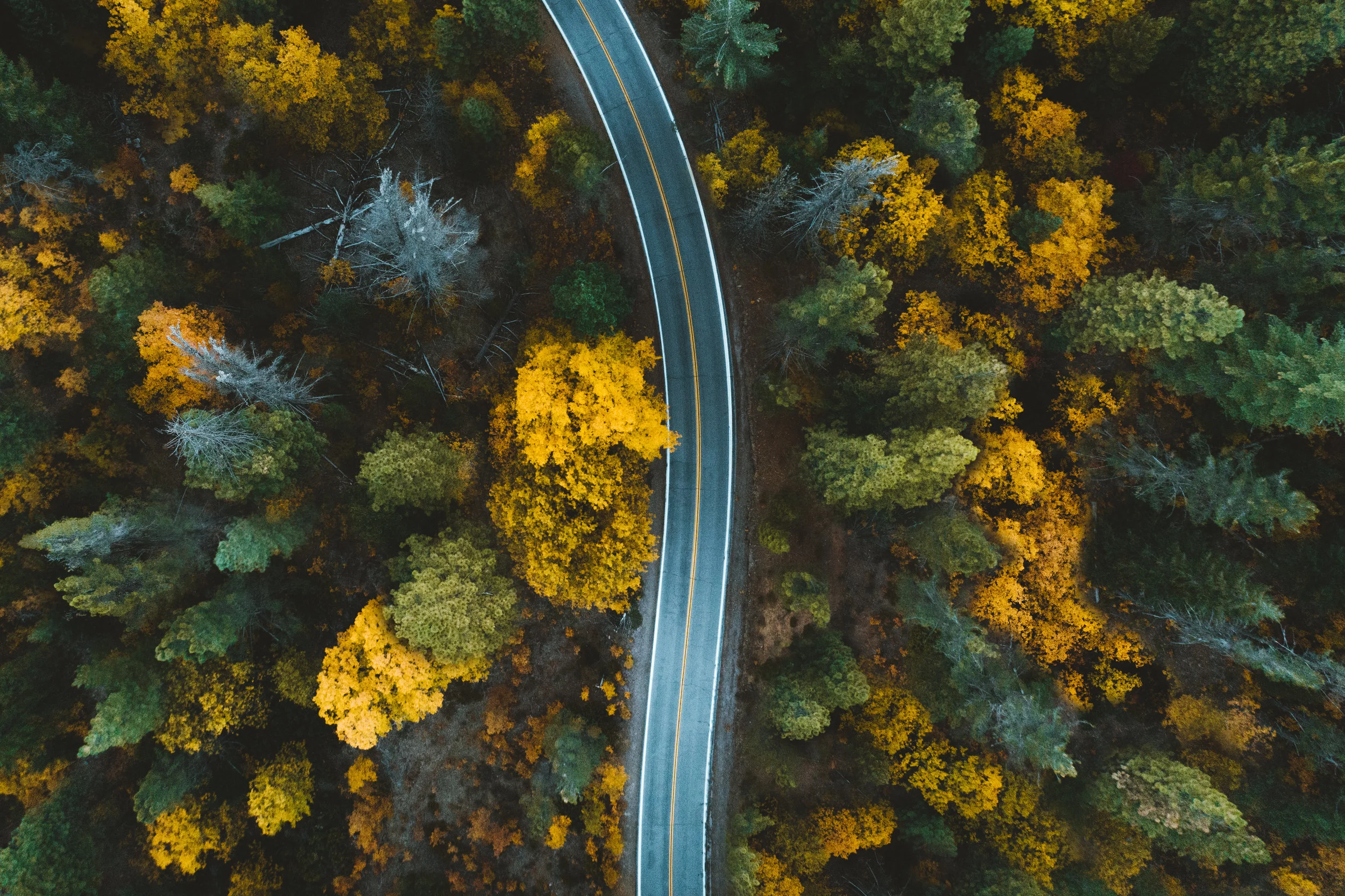 fall aerial road.jpg