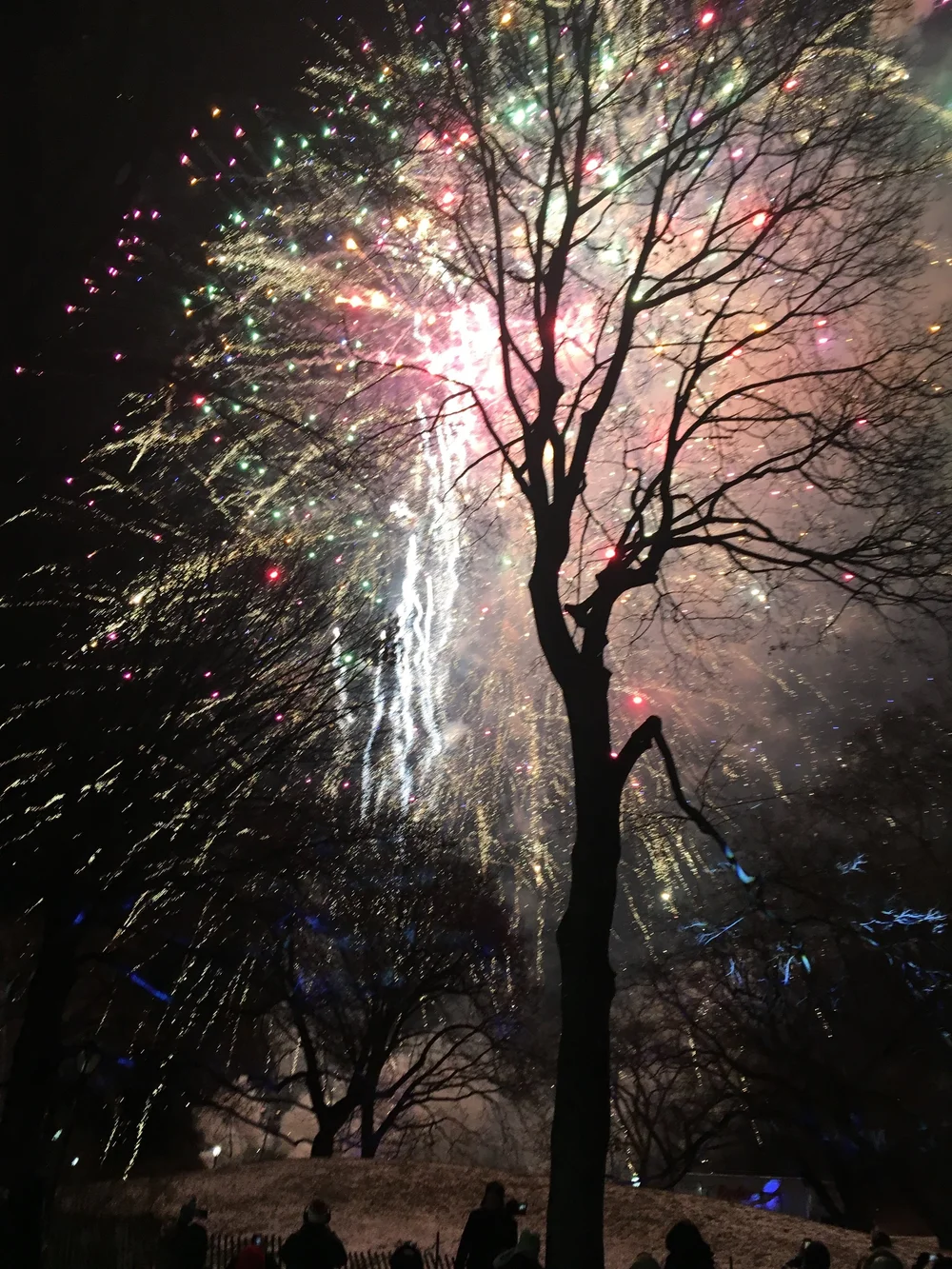 NYE run fireworks.jpeg