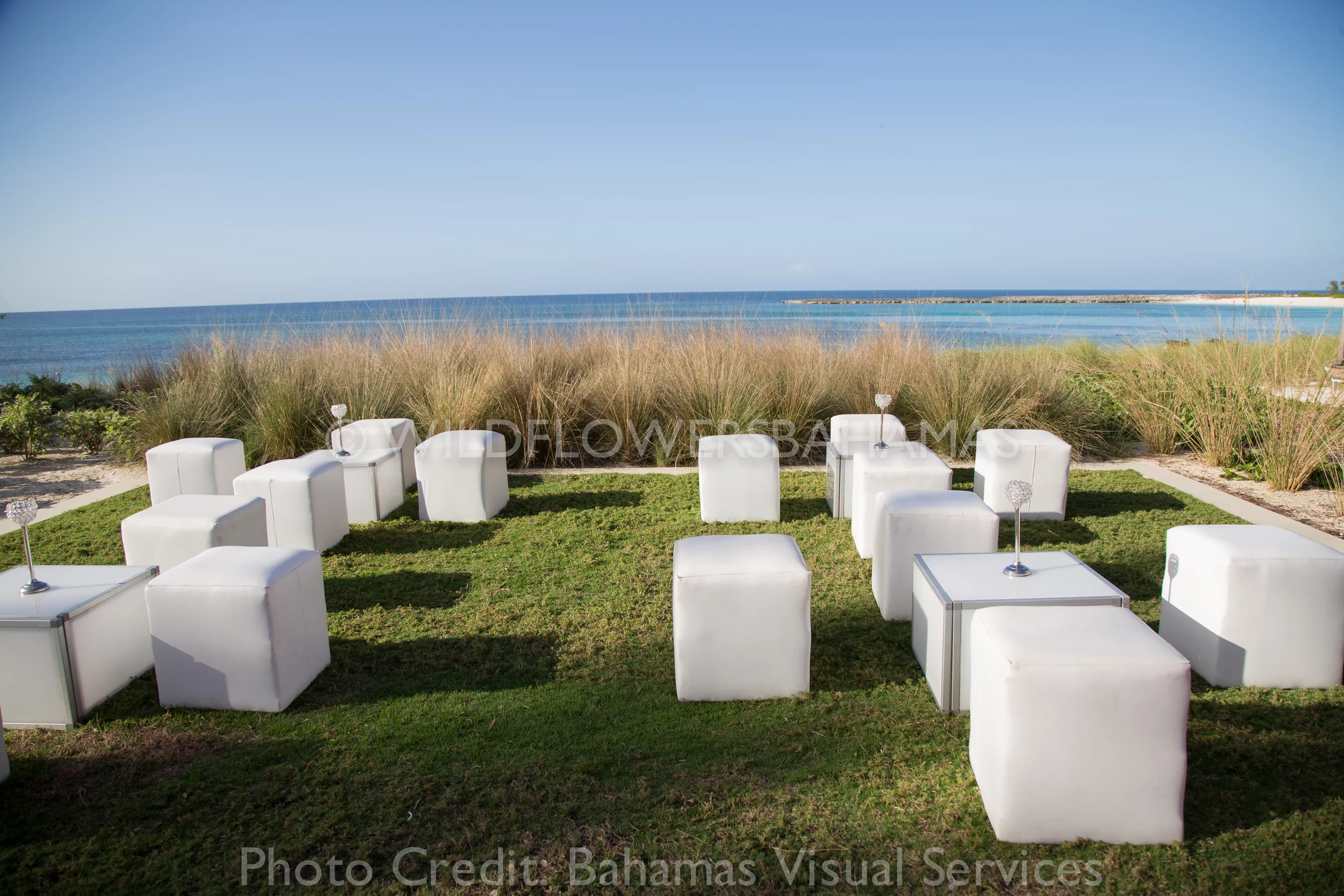 20160224-20150318-Cresho Anello-00371.jpg