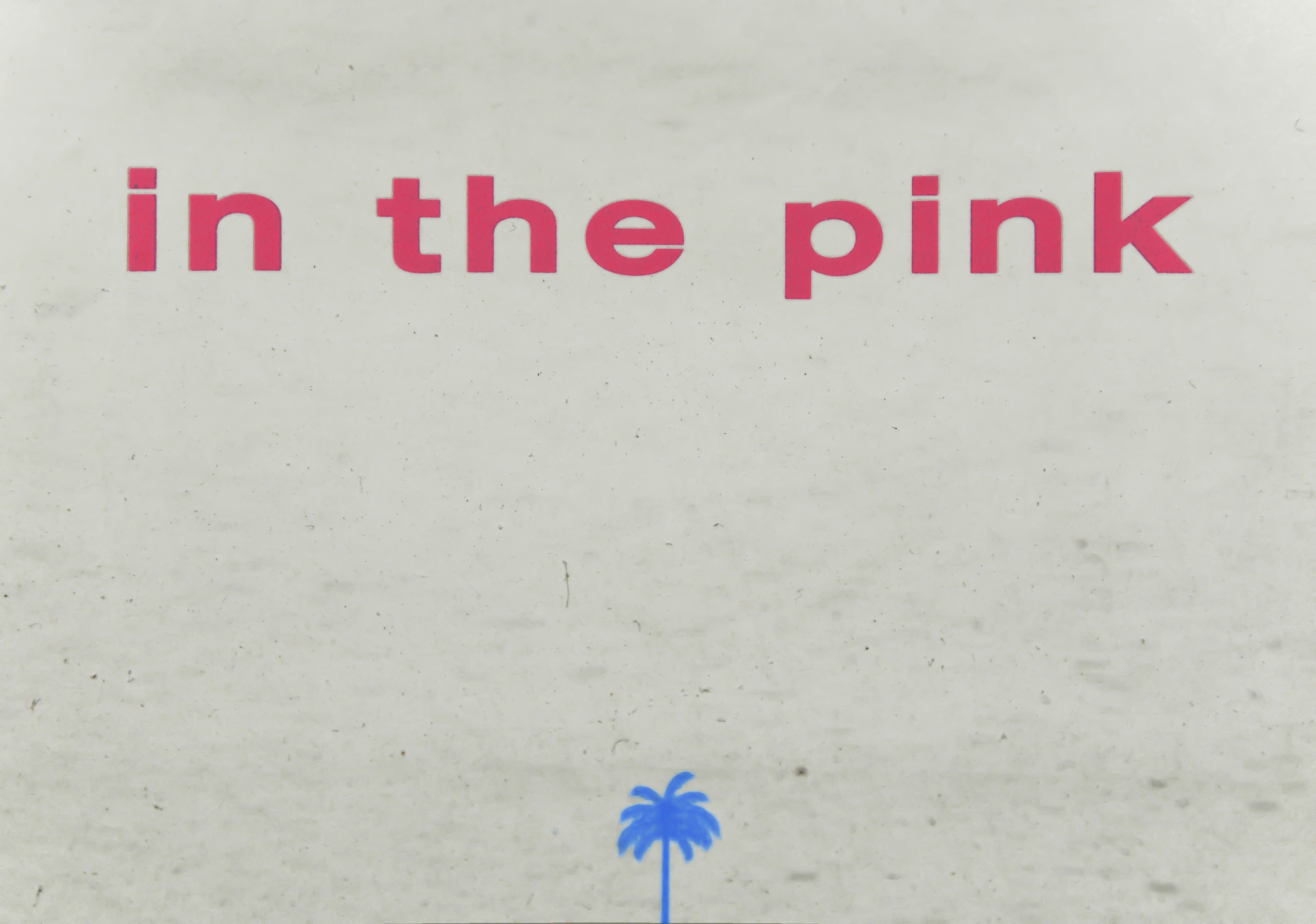 IN THE PINK-PHILLY-1108.jpg