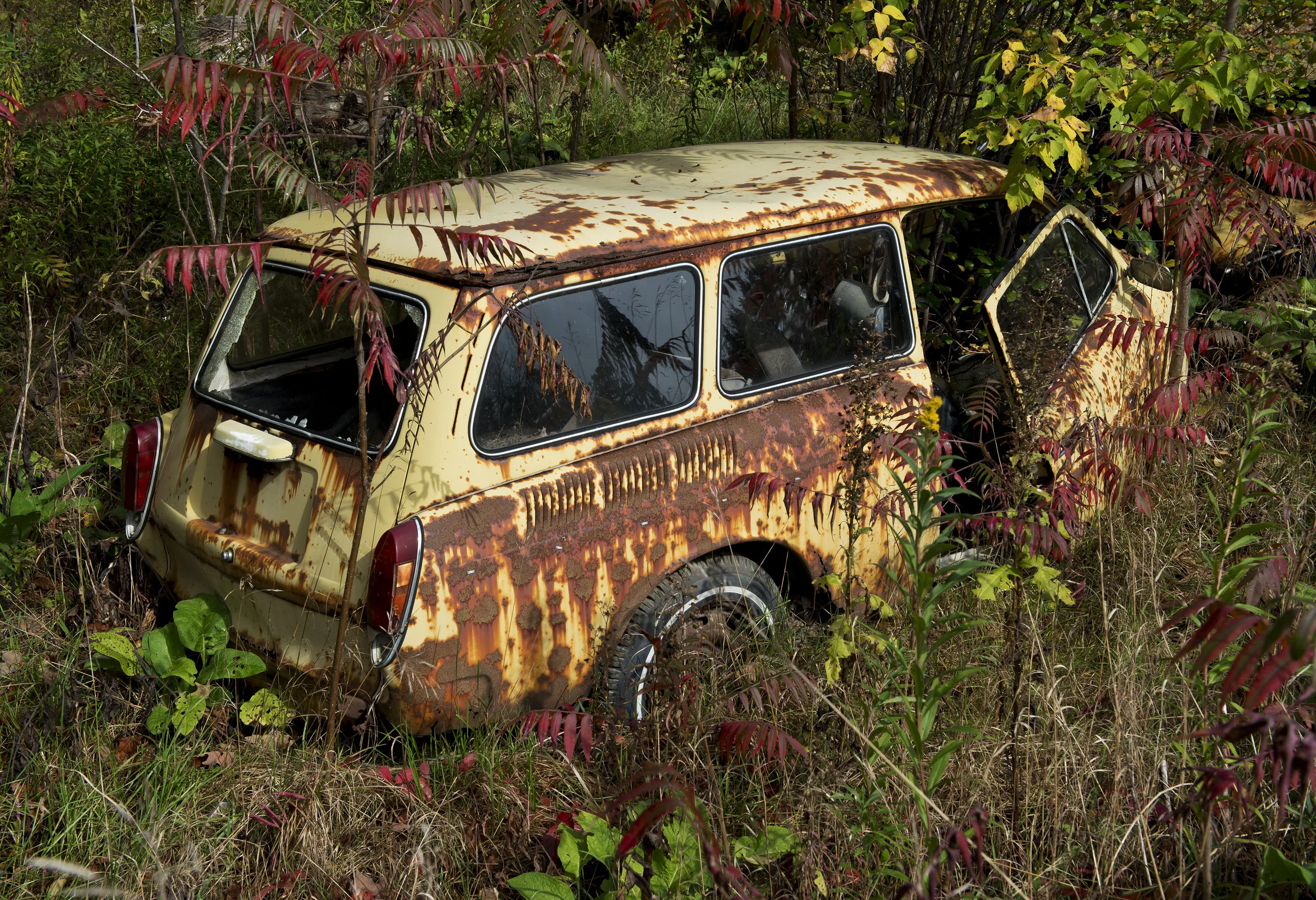 YELLOW SUBMARINE-VERMONT-100817 117pm.jpg