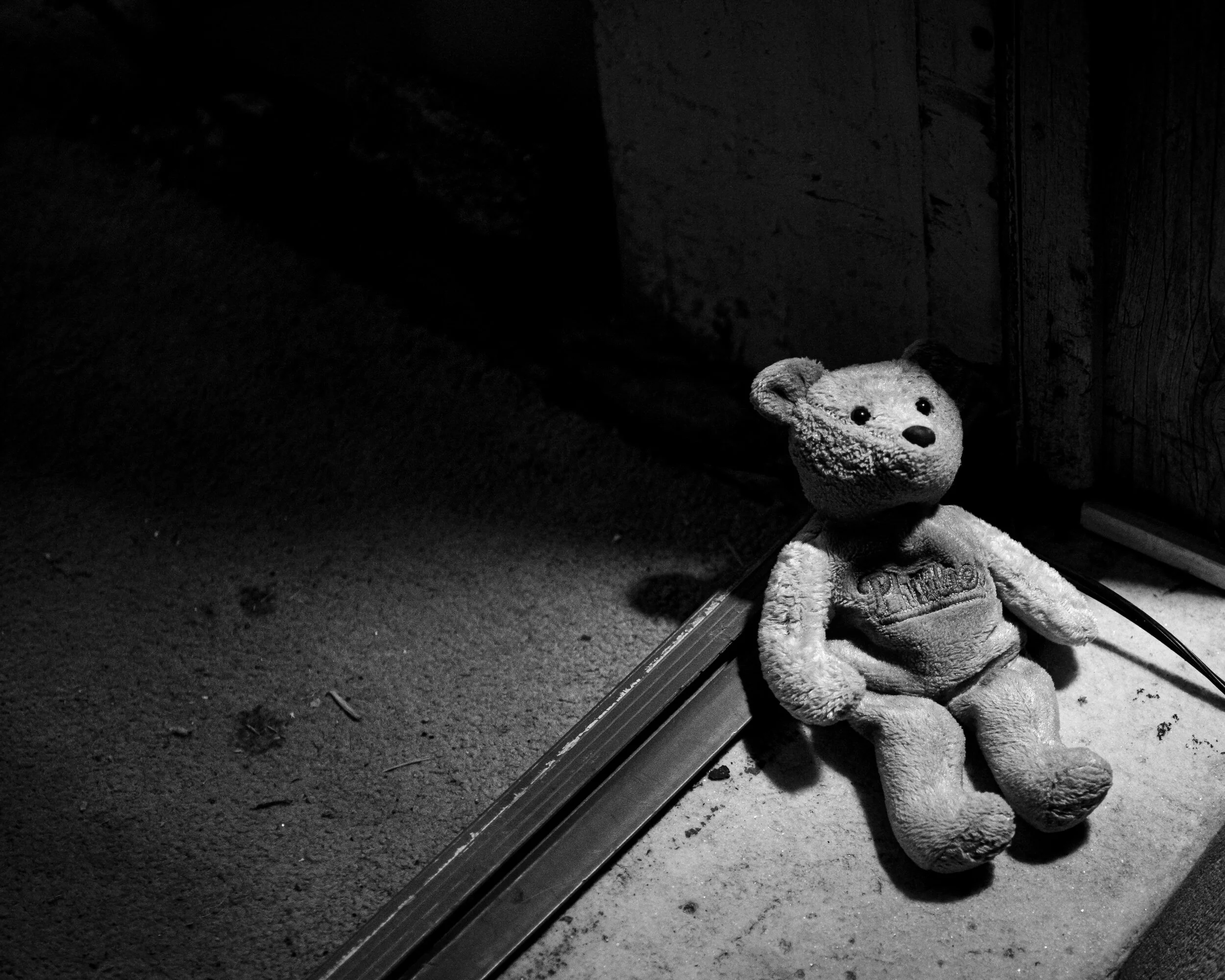 PHILLYBEAR II-TUESDAY NIGHTS-092619.jpg
