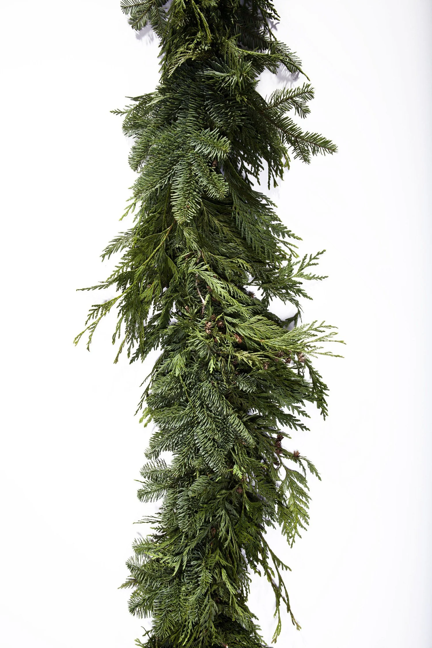 garland2-copy.jpg