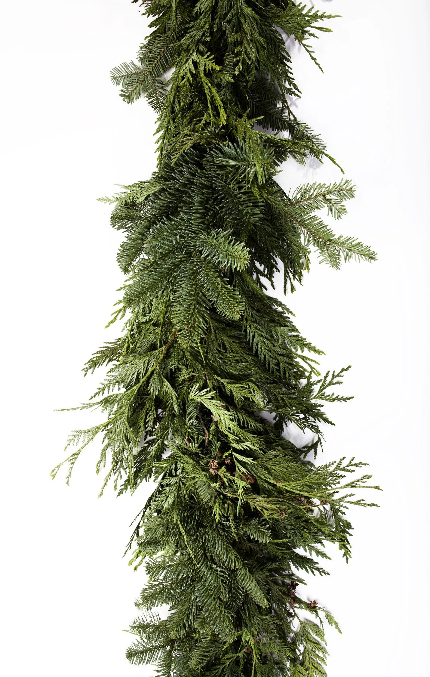 garland1-copy.jpg