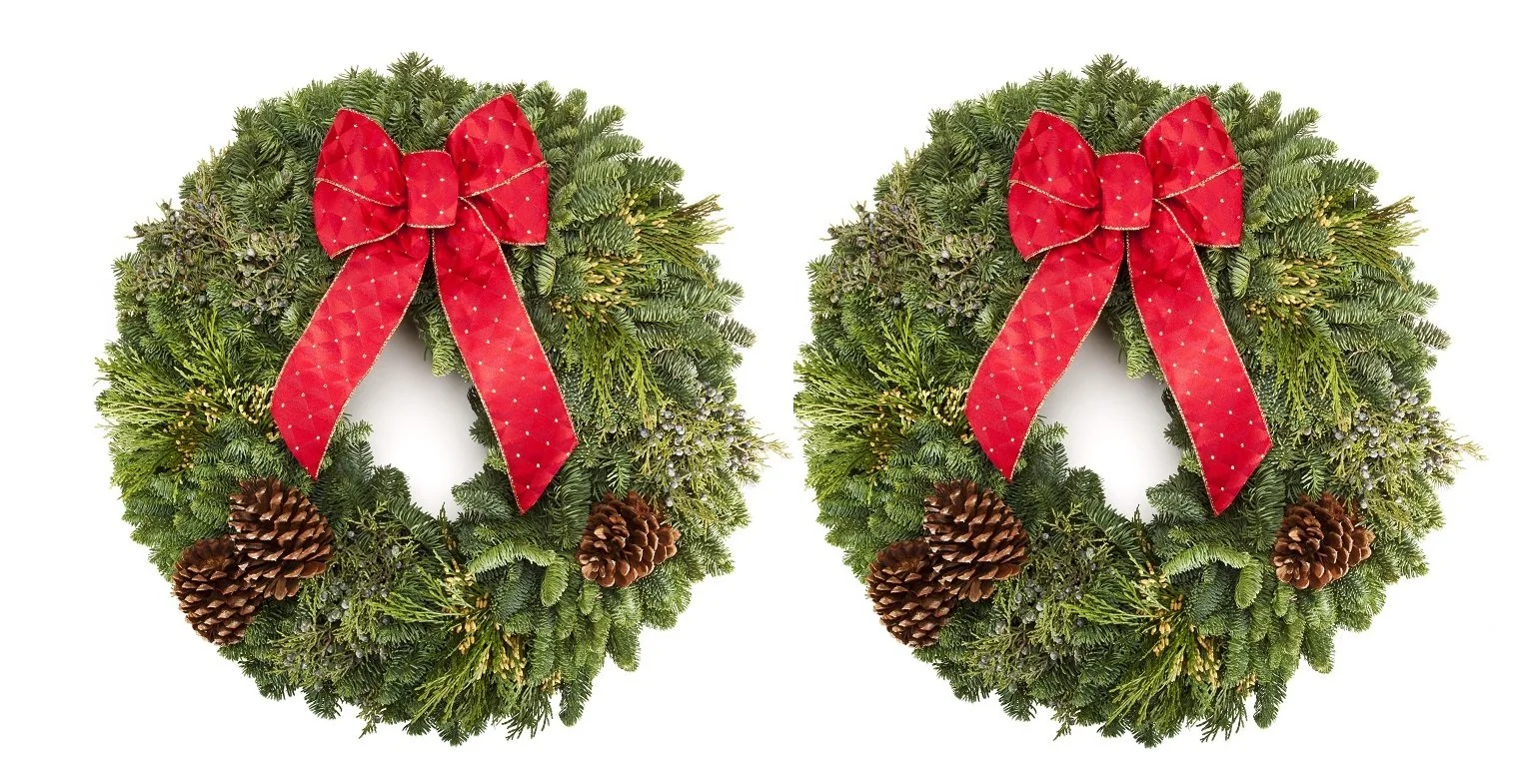 22" Mixed Evergreen Wreath TWO PACK (Corp. Gifts 10+ Items)