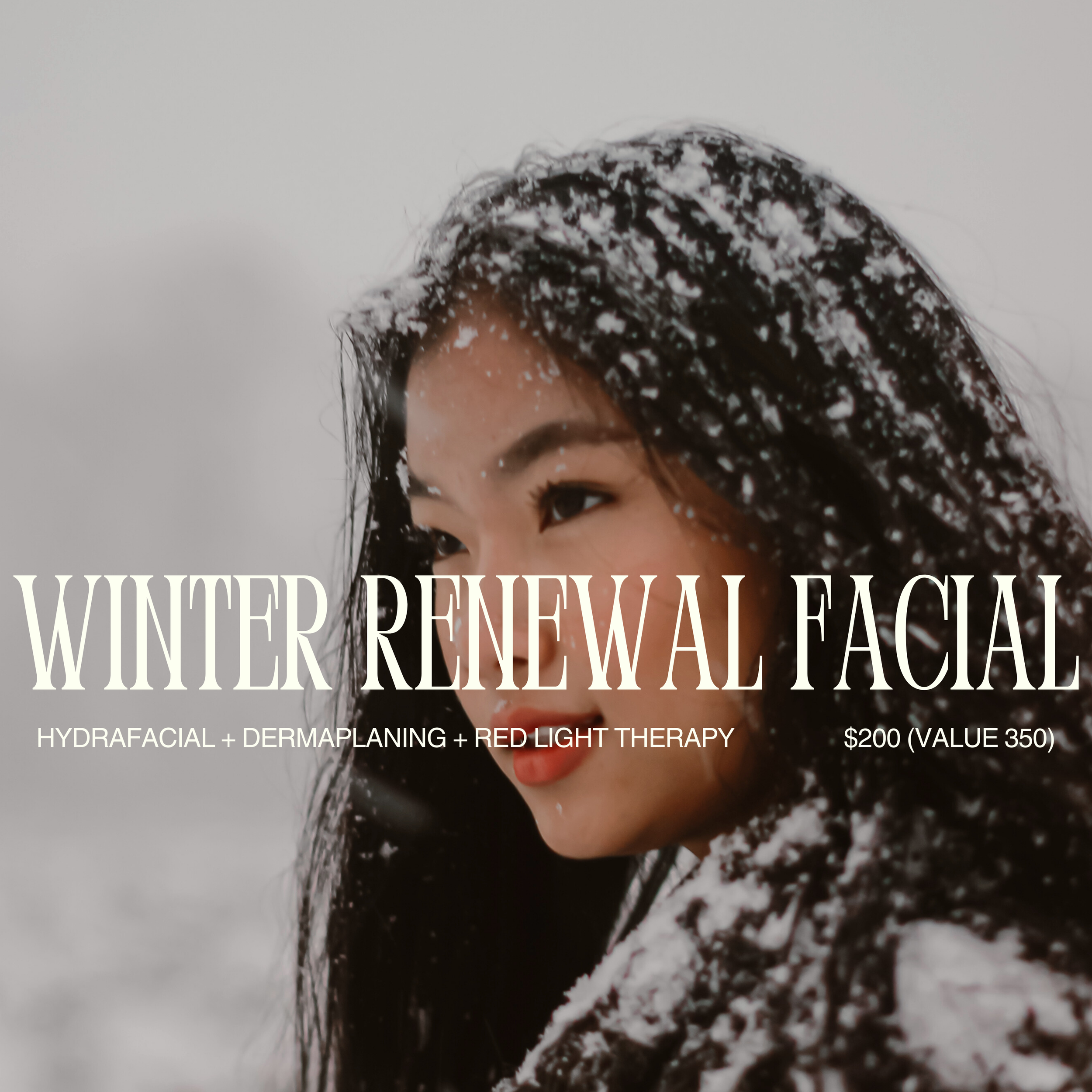 3 Winter Renewal.PNG