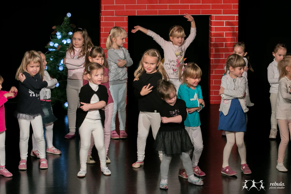 bozicna produkcija 2016-2.JPG