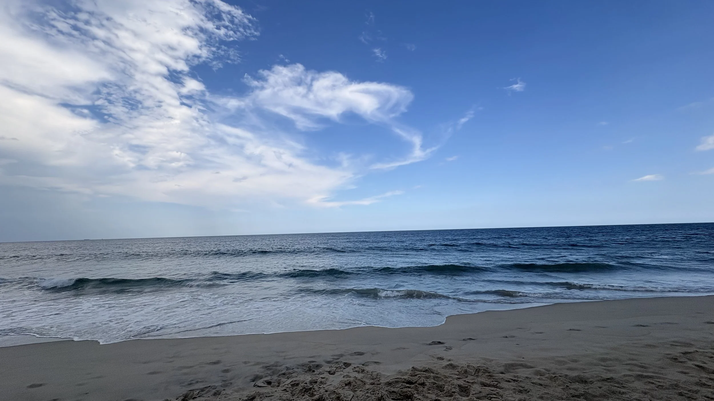 IMG_5308.jpeg