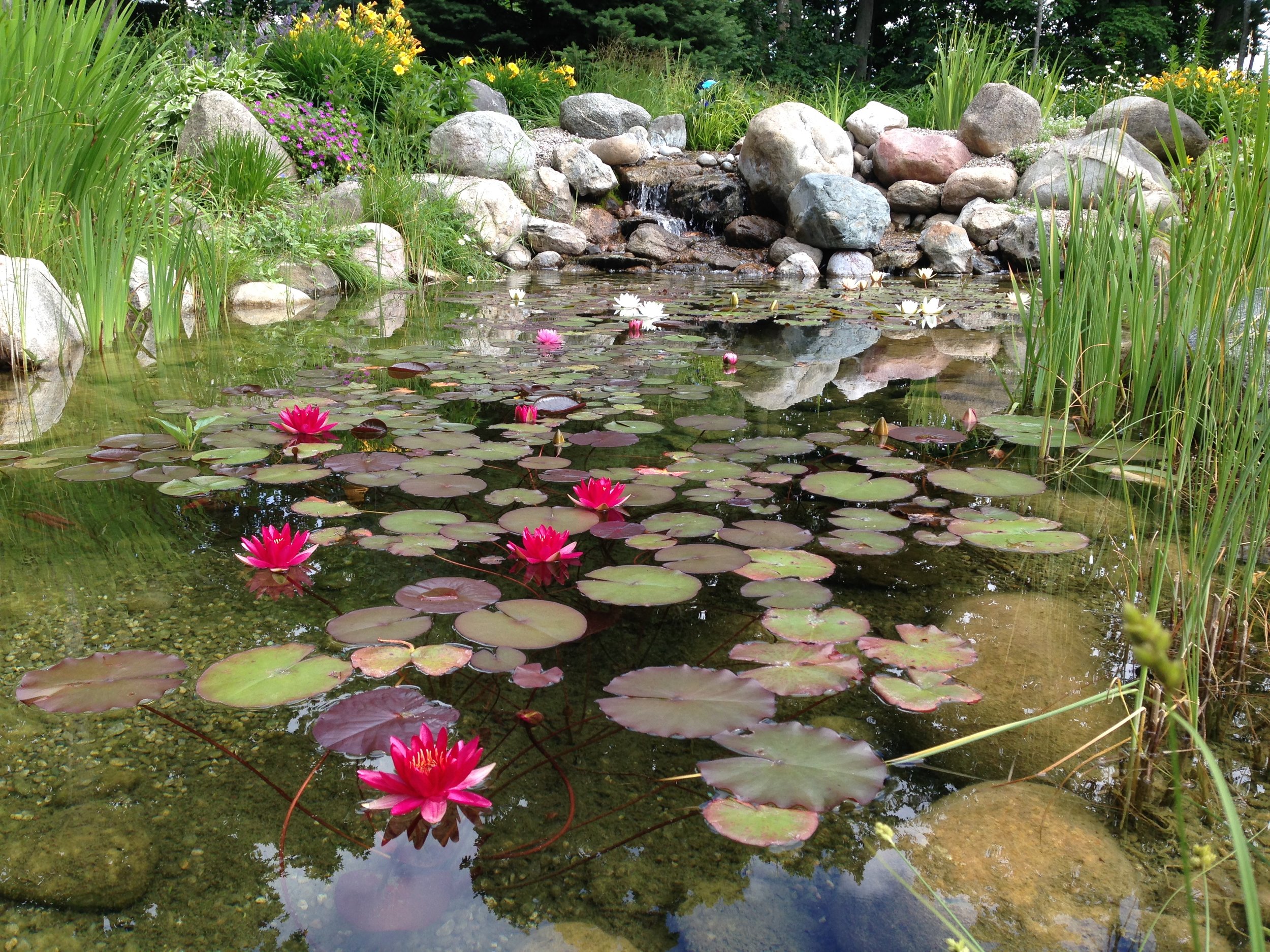 CREATING IN PETOSKEY*HARBOR SPRINGS*CHARLEVOIX*BOYNE CITY*SHANTY CREEK
