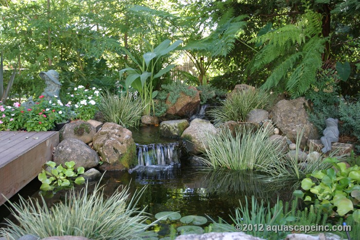 Relax by your water feature - we can create you oasis in as little as one day! 