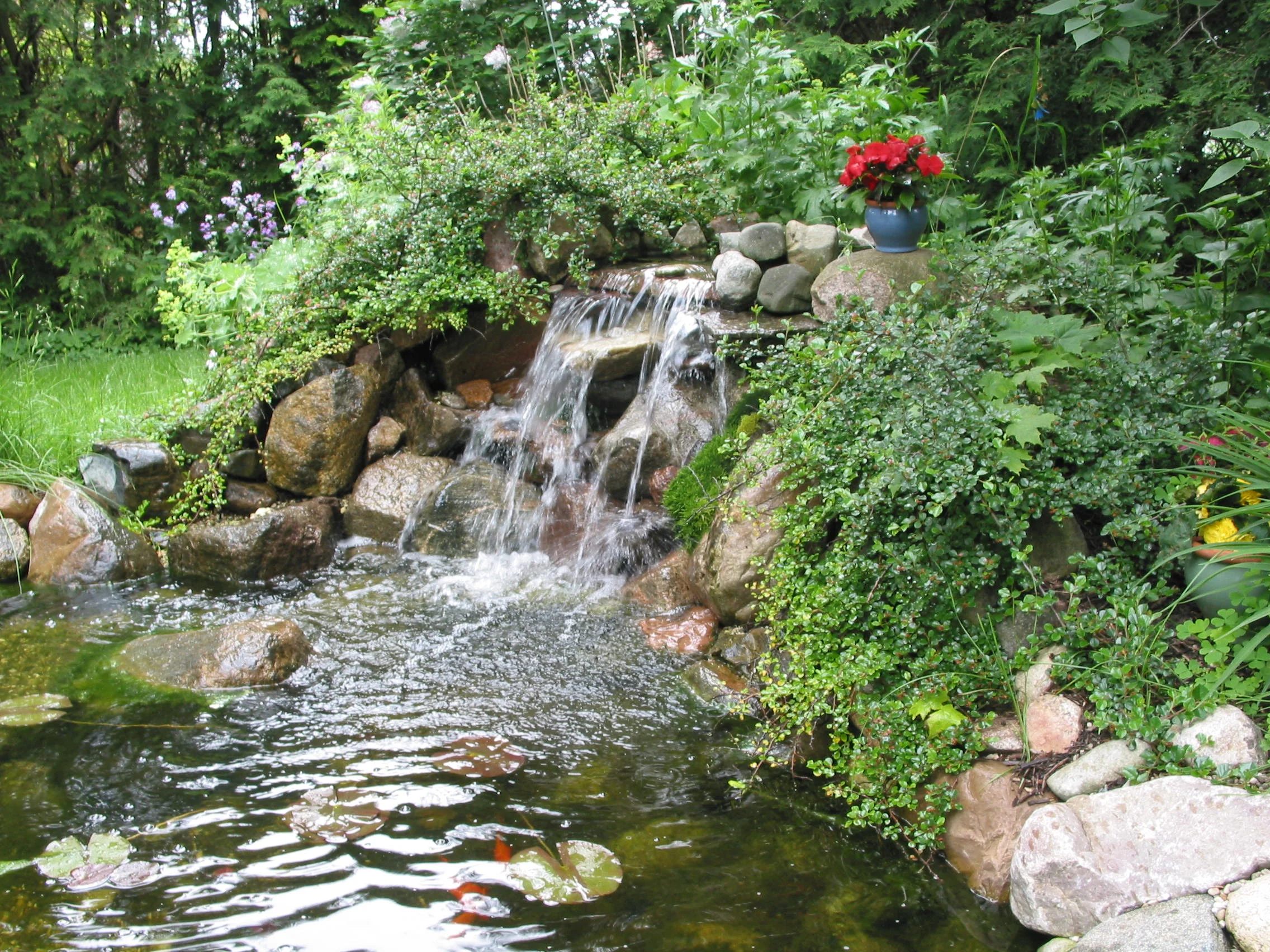 verdant.jpg